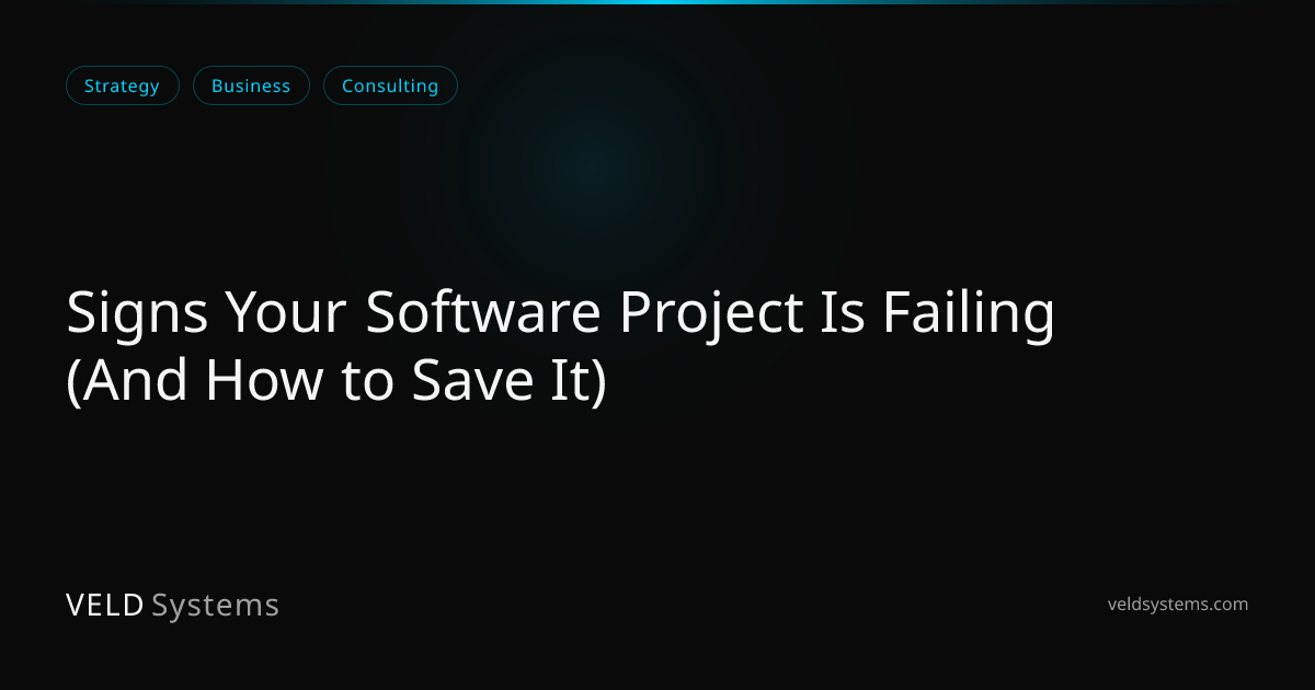 Signs Your Software Project Is Failing (And How to Save It) | Veld Systems