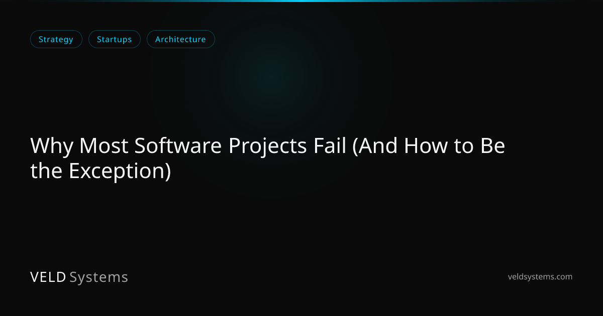 Why Most Software Projects Fail (And How to Be the Exception) | Veld ...